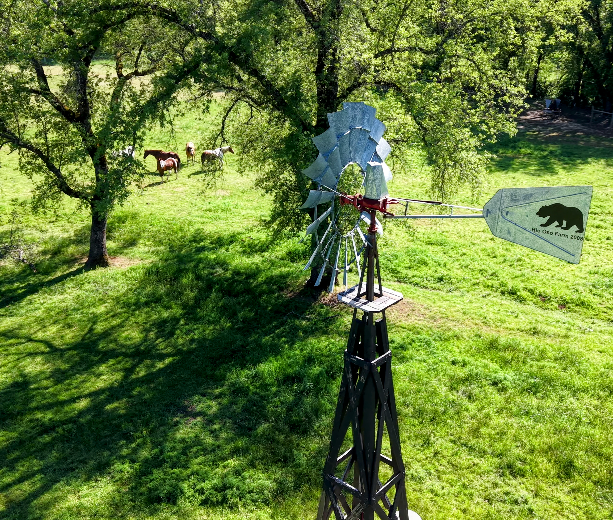 Life at Govind Foundation